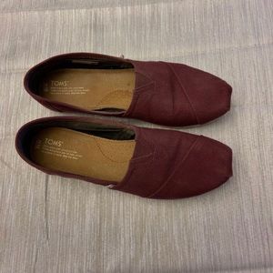 Burgundy Toms Size 12W